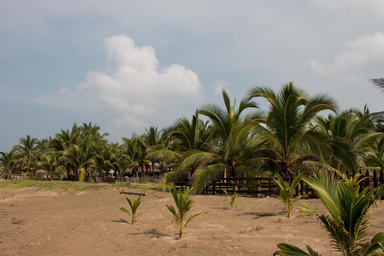 Hotel Villas Punta Blanca Zihuatanejo Kültér fotó